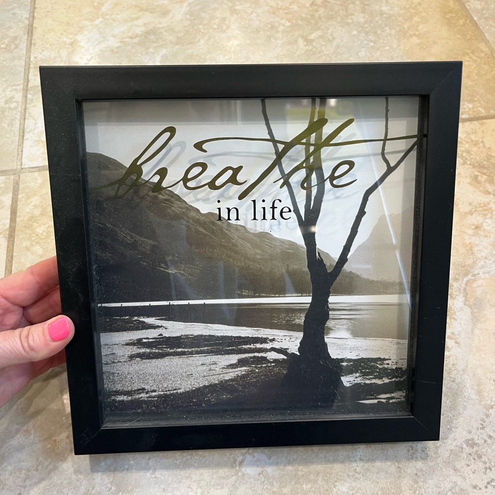 Black Framed 'Breathe in Life' Wall Art